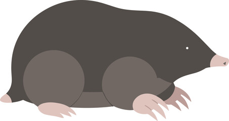Simple Flat Illustration of a Cute Mole Animal Creature Wildlife