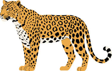 Stylish Flat Illustration of Leopard Wildlife Animal in Wild Nature