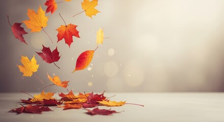 Warm Autumn Foliage with Soft Focus