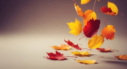 Warm Autumn Foliage with Soft Focus
