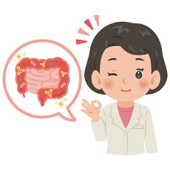 健康な腸内環境と白衣を着た女性医師　上半身イラスト／Healthy Gut with Female Doctor in White Coat　upper body illustration