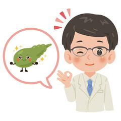 健康な胆嚢のキャラクターと白衣を着た男性医師　上半身イラスト／ Healthy Gallbladder Character with Male Doctor in White Coat　upper body illustration