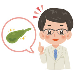 健康な胆嚢と白衣を着た男性医師　上半身イラスト／Healthy Gallbladder with Male Doctor in White Coat　upper body illustration