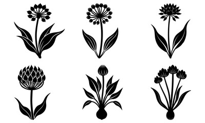 Elegant floral blossoms in a delightful botanical arrangement, perfect for invitations, crafts and scrapbooking, classic floral design with natural artistry