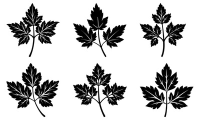 Elegant monochrome foliage designs, perfect for botanical illustrations and nature-inspired projects, originally a scalable vector graphic for flexible design use