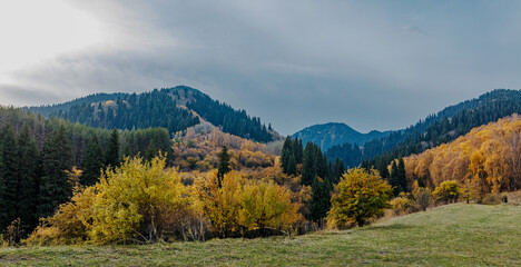 autumn landscape in the mountains