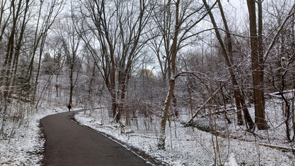 Snowy Forest Trail in Winter