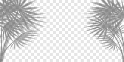 Palm tree leaves shadow, tropic plant overlay on transparent bg. Summer beach light effect, sun shade vector branch texture. Abstract floral sunlight, foliage silhouette on wall. Product gobo mockup