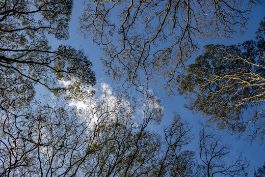 Pra&ccedil;a 3 Lagoas Morumbi S&atilde;o Paulo