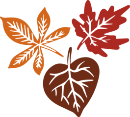 Autumn banner with orange leaves. Colorful autumn set of leaves, mashrooms and acorns. Vector illustration clipart leaves set autumn on white background isolated, vector plie of colorful leaves