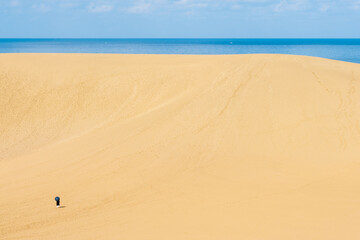 鳥取砂丘　馬の背