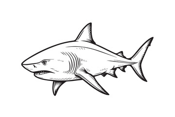 Obraz premium Stylish monochrome vector artwork featuring a bull shark species, drawn with clean outlines to show its balance of elegance, force, and raw marine beauty.