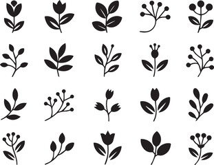 Minimalist Botanical Silhouettes Collection