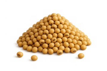 Soybeans forming a pile, highlighting their use in plant-based protein, healthy food, and agricultural harvest concepts