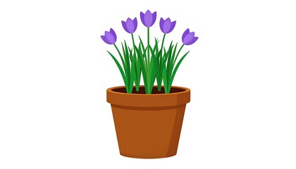 Purple tulips in terracotta pot
