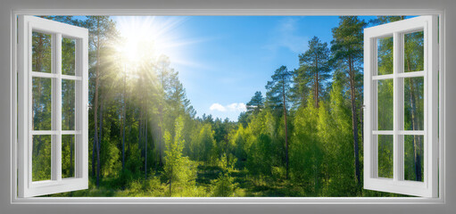 Open window frames Summer's embrace, where the forest breathes, sunlight paints the verdant canopy, and blue sky dreams begin
