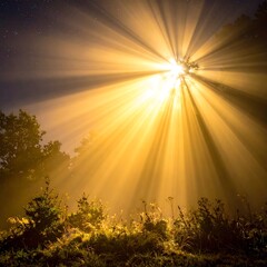 Radiant sunbeams pierce a foggy forest
