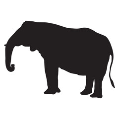 Elephant Silhouette Flat Design Vector