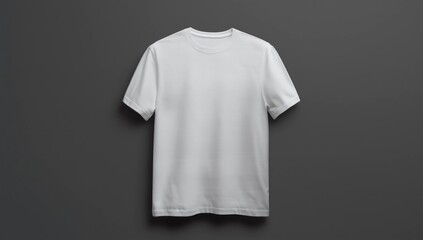 Empty white t-shirt