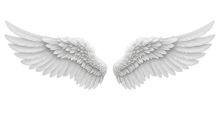 white wings