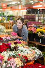 Female customer chooses a bouquet of carnations in a flower shop