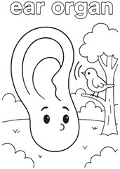 coloring book ear organ hanging upside down from tree, cute and funny outdoor activity for kids
