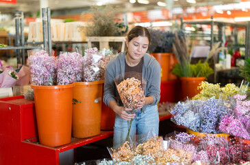 Girl salesman takes out bunch of gypsophila from showcase, creates bouquets, combines flowers and decorative herbs. Supply and demand, assortment of flowers for ceremonial and ritual bouquets © JackF