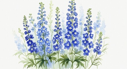 Fototapeta premium Fine Art Composition Featuring Blue Delphinium and Larkspur Flowers in Watercolor on White Background