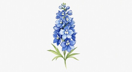 Fototapeta premium Fine Art Composition Featuring Blue Delphinium and Larkspur Flowers in Watercolor on White Background