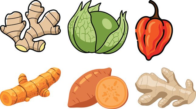 Six cartoon style root vegetables and peppers on a white background ginger turmeric