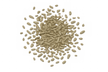 Wheat grains forming a natural texture heap, a staple cereal ingredient on transparent background