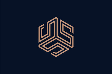 Hexagonal s logo vector image