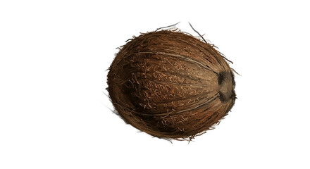 3D Realistic Coconut Isolated on Brown Background with Sparkles
