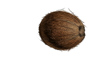 3D Realistic Coconut Isolated on Brown Background with Sparkles