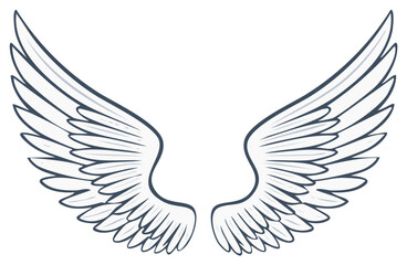 Obraz premium Stylized Angel Wings Illustration, Cartoon Feathered Wings