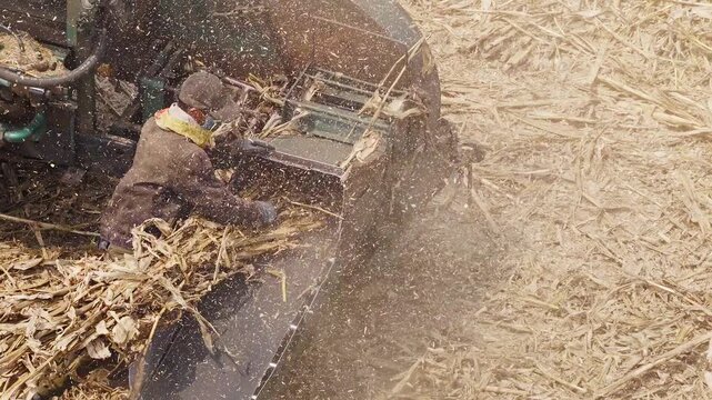 Workers using a machine to crush straw