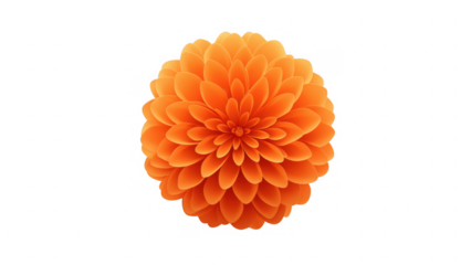 Orange flower symbolizing love in Day of the Dead, created AI, PNG