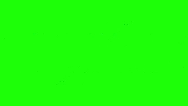 green screen glitch effect animation, motion graphics, design, Computer programming error, system hacked concept, video for hacking, cyber security, coding and information technology