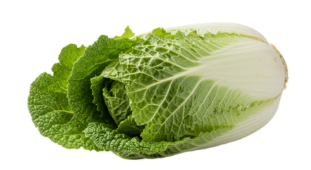 Fresh Chinese Cabbage Head Green Healthy Isolated Transparent Background