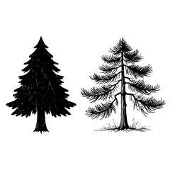 Obraz premium Vintage Retro Pine Tree Silhouette Vector Collection — Rustic Outdoor Logo & Forest Emblem Design 