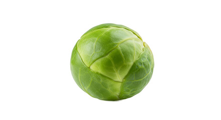 Fresh Green Brussels Sprout Isolated on Light Green Background Realistic Macro
