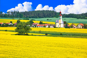 ボヘミア地方の美しい菜の花畑と教会合成