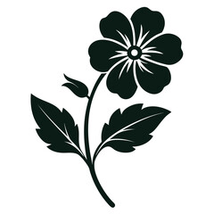 black and white flower