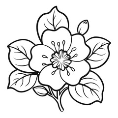 black and white flower