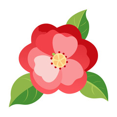 flowering quince flower on white background