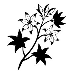 forsythia flower line art on white background