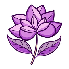 lilac flower  line art on white background