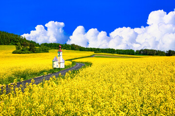 ボヘミア地方の美しい菜の花畑と教会合成