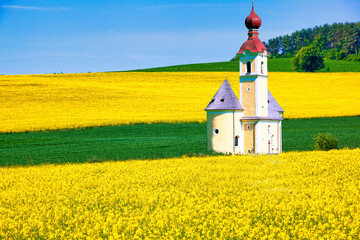 ボヘミア地方の美しい菜の花畑と教会合成