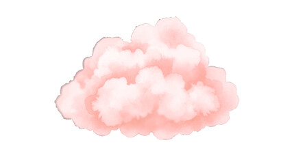 pink rose petalss cloudy 